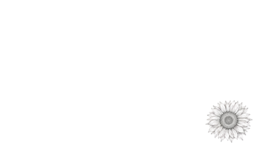 The Fields Wedding & Event Venue